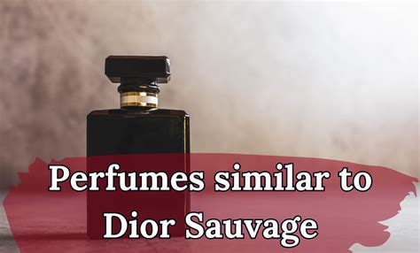 fragrance similar to sauvage